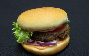 Sirina's Mini-Burger